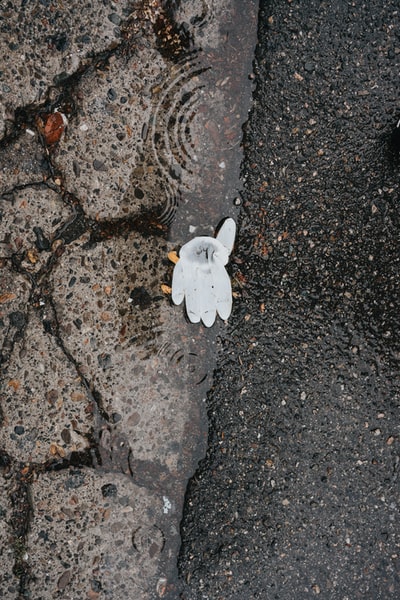灰石上的白蝴蝶